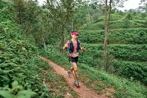 BIB: 
                            <button type="button" onclick="openModal(24879016)" class="btn btn-primary btn-sm float-right btn-popup" data-toggle="modal" data-target=".modal-high-quality">
                        <i class="fas fa-shopping-cart"></i> Add to Cart
                    </button>
                                            <button type="button" onclick="isThisMe(24879016, true)" class="btn btn-success btn-sm float-right btn-popup btn-isme hidden" data-toggle="tooltip" data-placement="bottom" title="นี่คือรูปของคุณใช่ไหม คลิกที่นี่เพื่อเอาเข้าอัลบั้ม">
                        <i class="fas fa-plus"></i> Add to album
                    </button>
                    <button type="button" onclick="isThisMe(24879016, false)" class="btn btn-warning btn-sm float-right btn-popup btn-isnotme hidden">
                        <i class="fas fa-ban"></i> Remove from album
                    </button>